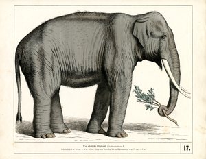  - Heinrich Leutemann
