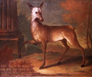Un chevreuil - Heinrich Lihl