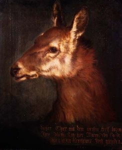 Tête d