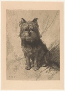 Chien hollandais - Heinrich M. Krabbé
