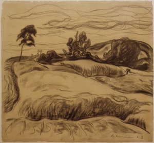 Paysage vallonné - Heinrich Nauen
