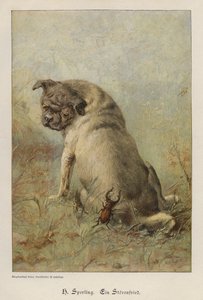Un fauteur de troubles - Heinrich Sperling