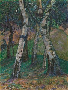 Bouleaux au Barkenhoff