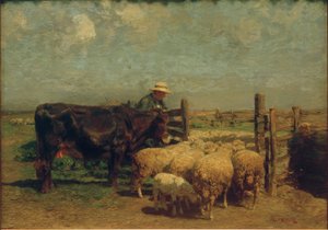 Au parc à moutons