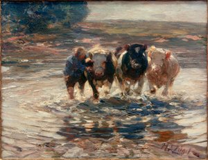 À travers le gué