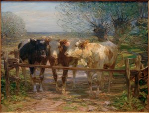 Vaches à la barrière - Heinrich von Zügel