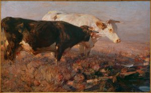 Vaches dans la lande - Heinrich von Zügel