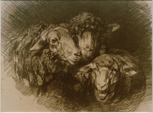 Moutons - Heinrich von Zügel