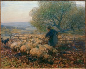 Moutons quittant l