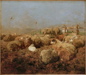 Moutons dans l