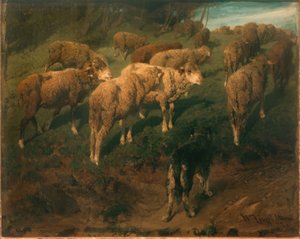 Moutons avec chien noir