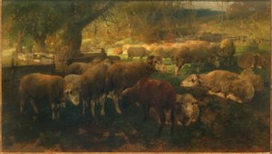 Moutons sous les arbres