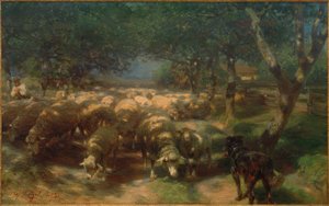 Troupeau de moutons avec chien