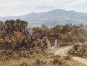 Hindhead depuis Sandhills, Witley