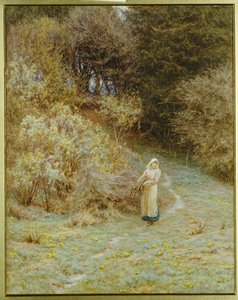 Dans le bois de primevères