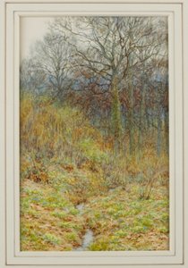 Notre bois de primevères - Helen Allingham