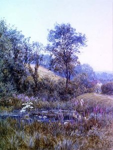 Cueillir des fleurs près de l
