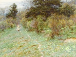 Primevères sur une lande du Surrey