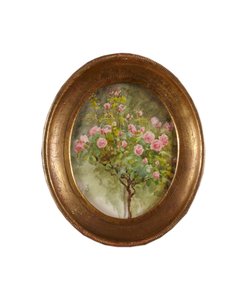Buisson de roses