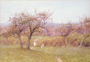 Printemps dans le Dorset
