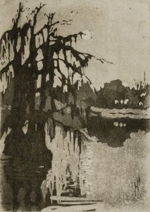 Arbres à cyprès - Helen Hyde