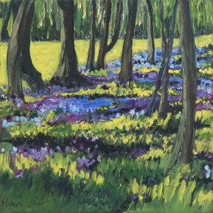Bois de jacinthes, 2008 - Helen White