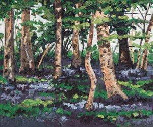 Bois de jacinthes