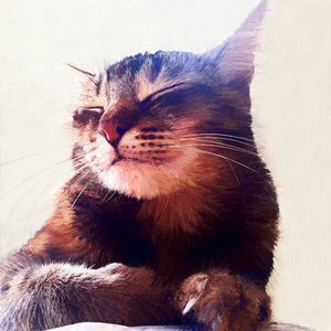 Le chat qui a eu la crème - Helen White