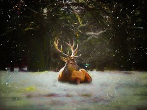 Cerf de Noël
