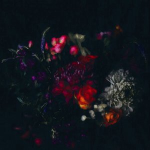 Floral sombre