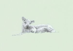 Esprit doux II - Helen White