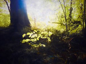 Lieu Sacré - Helen White