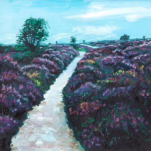 Bruyère de lande - Helen White
