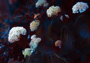 Au clair de la lune, 2019 - Helen White