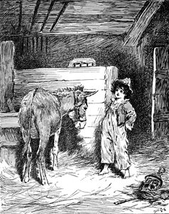 Piccino et son ami l