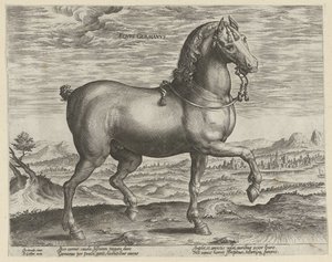Étalon d