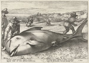 Baleine échouée sur la plage de Zandvoort, 1594 - Hendrick Goltzius (workshop of)