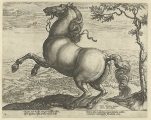 Cheval de Toscane - Hendrick Goltzius