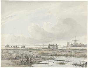 Paysage marécageux en dehors d