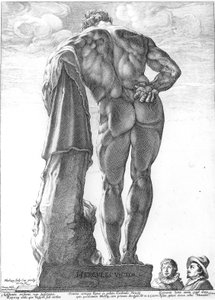 Farnese Hercule - Hendrik Goltzius