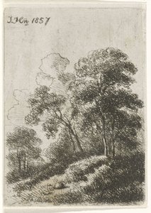 Arbres sur une colline
