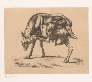 Chèvre se grattant la tête - Hendrik Jozef Franciscus van der Poorten