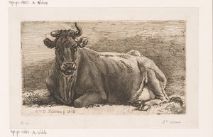 Vache couchée