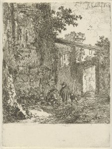 Ruine envahie par la végétation