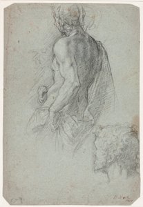 Modèle masculin drapé et tête d