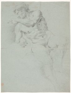 Mandlig modelstudie