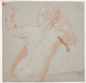 Femme nue avec les bras tendus, vue de dos. (Une nymphe fuyante)