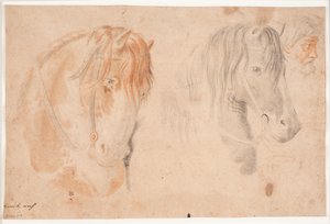 Deux têtes de chevaux et une tête d
