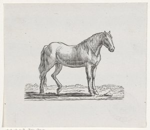 Cheval - Hendrik Numan
