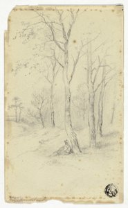 Homme Assis Sous les Arbres